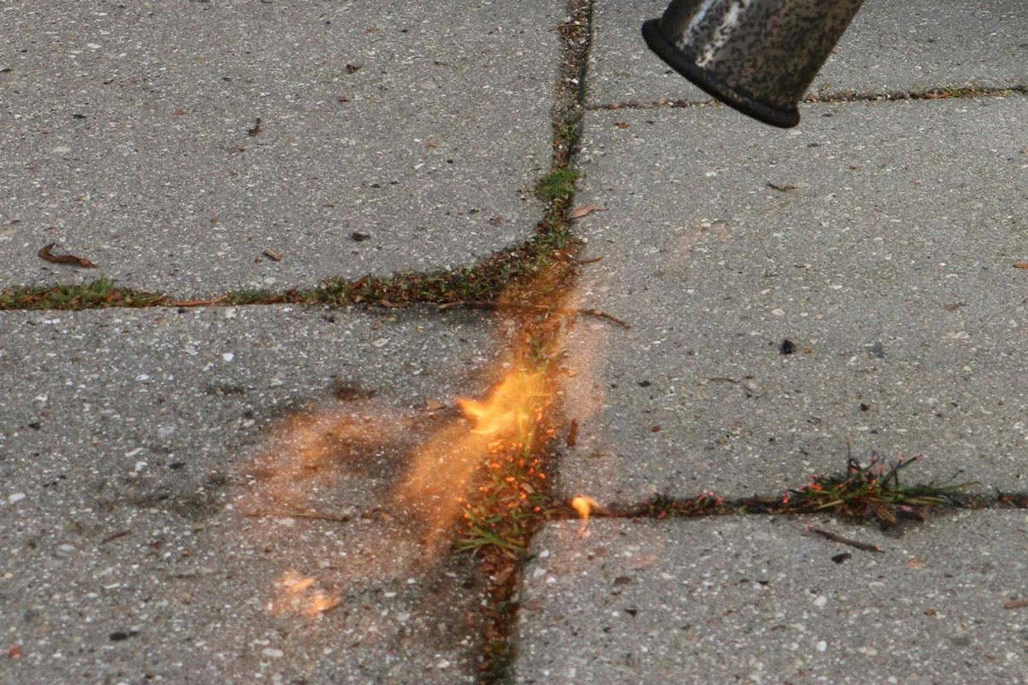 Ugressbrenner: Ideen bak den raske sviingen med ugressbrenner Ugressbrenner: Ideen bak den raske sviingen med ugressbrenner